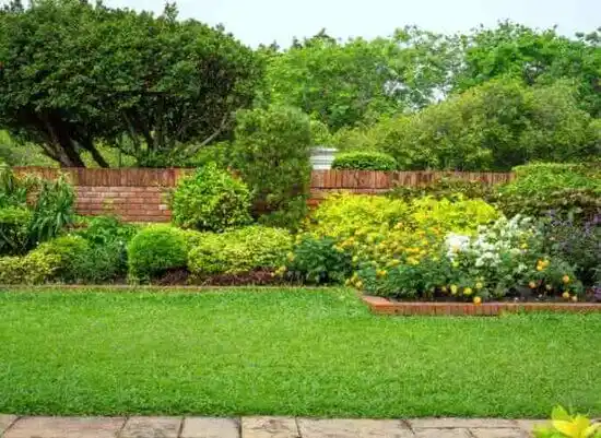 landscaping services Delhi Hills